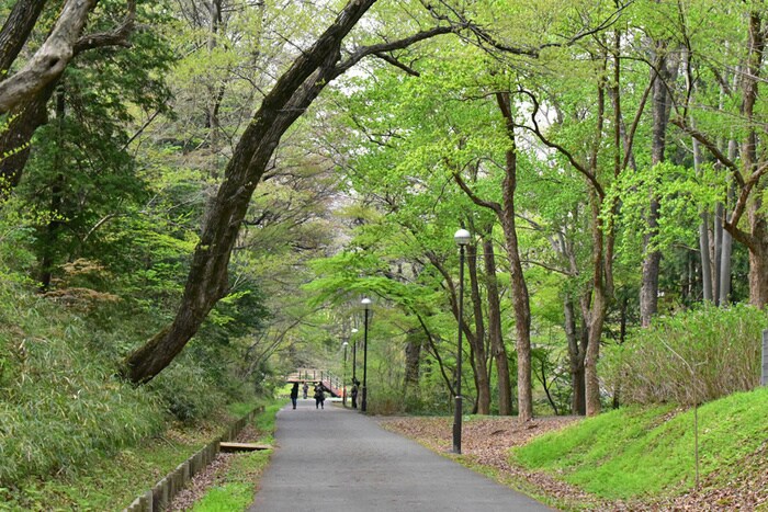 都立狭山公園(公園)まで334m 上ノ台コーポ