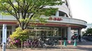 イトーヨーカドー川崎港町店(スーパー)まで247m 第二上田ビル