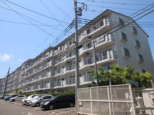 ｶﾞｰﾃﾞﾝﾗｲﾌ久里浜壱番館(203)