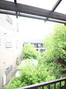 室内からの展望 コ－ポ林