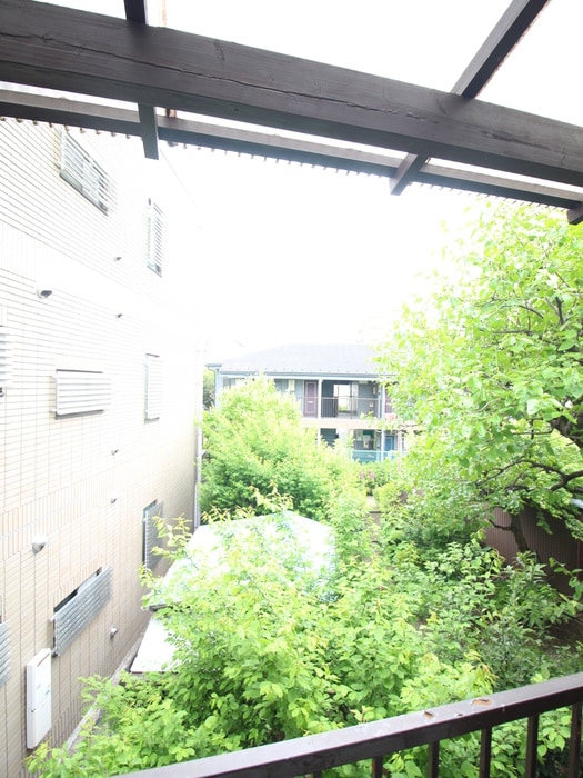 室内からの展望 コ－ポ林