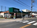 COOP(スーパー)まで300m モアナ桜山