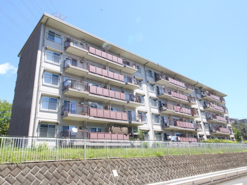 外観写真 くずは台団地１０号棟（103）