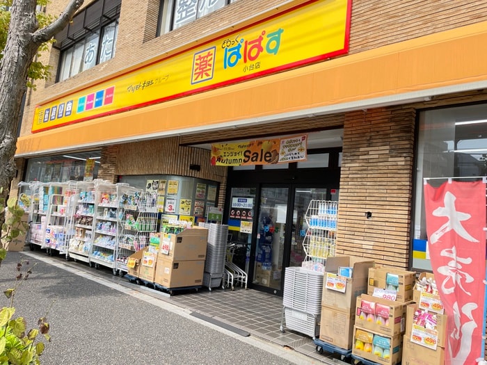 どらっぐぱぱす東尾久4丁目店(ドラッグストア)まで214m HF田端レジデンス