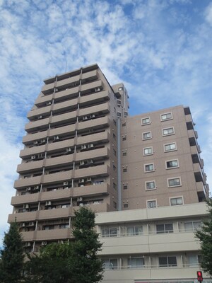 ライオンズプラザ本蓮沼(1101)