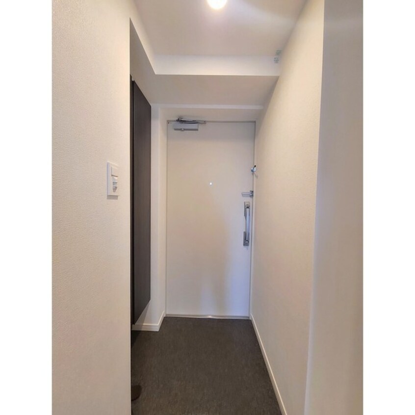 玄関 LIMERESIDENCEHIRATSUKAWEST