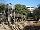 蕨市民公園(公園)まで270m クレイドルⅢ