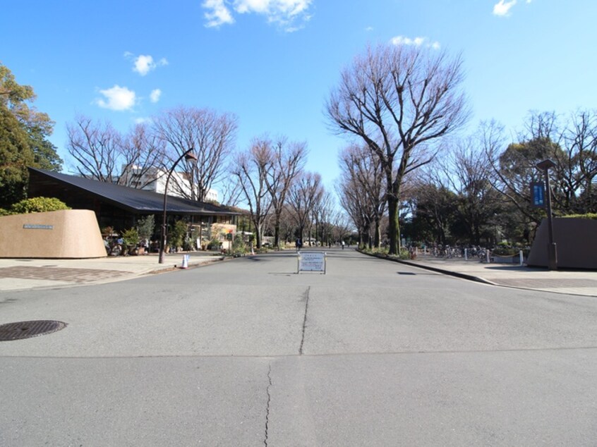 駒沢公園(公園)まで1107m サンメール駒沢