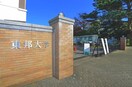 東邦大学(大学/短大/専門学校)まで680m 三橋アパート