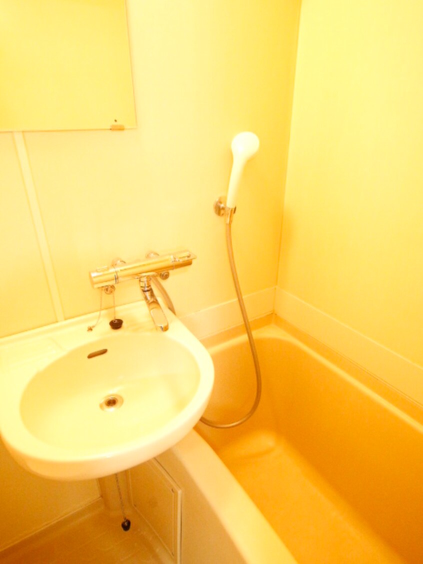 洗面 カミール洗足池