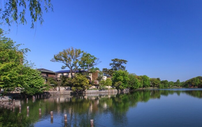 洗足池公園(公園)まで400m カミール洗足池