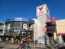 コモディイイダ朝霞仲町店(スーパー)まで772m 志幸４８カノン