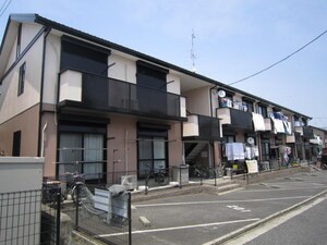 ビューバレー