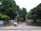 国立東京美術大学(大学/短大/専門学校)まで274m Ｇｌａｎｐａｒｋ池之端