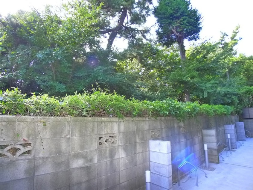 室内からの展望 ブルックリンズ西千葉