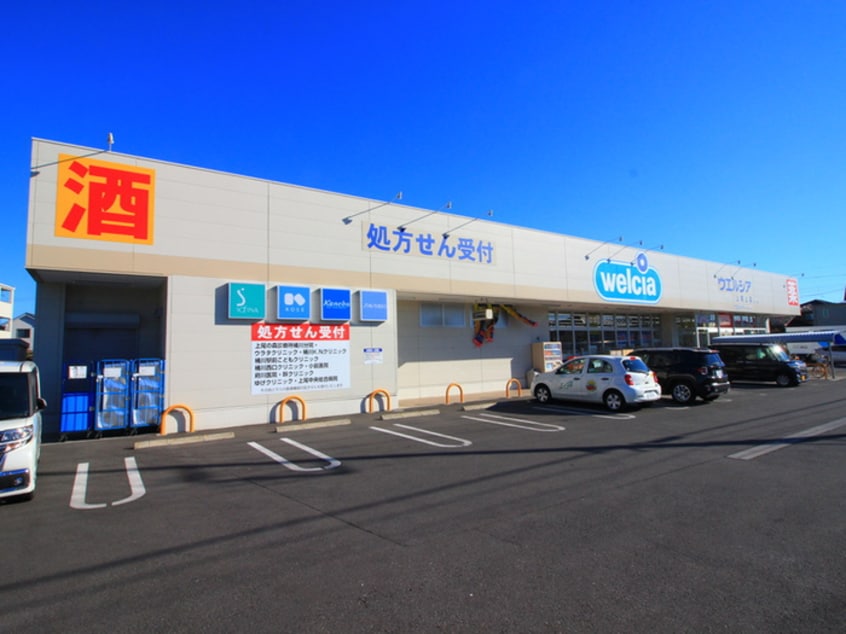 ウエルシア(ドラッグストア)まで500m メインフィールド桶川東