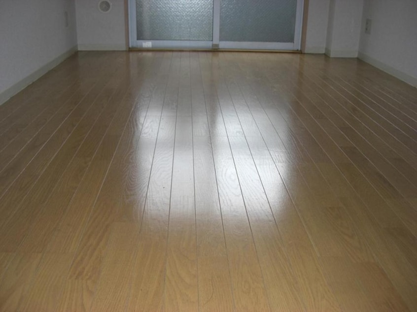 居室 スカイコ－ト文京白山(108）