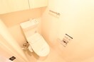 トイレ ﾊﾟｰｸﾅｰﾄﾞﾌｨｯﾄ南青山Vista