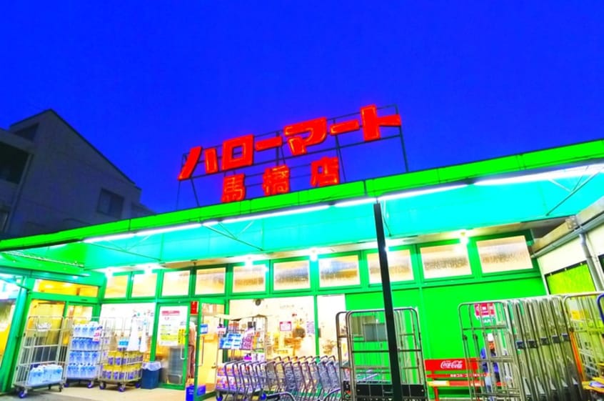 ハローマート(スーパー)まで156m ジュネパレス松戸４５