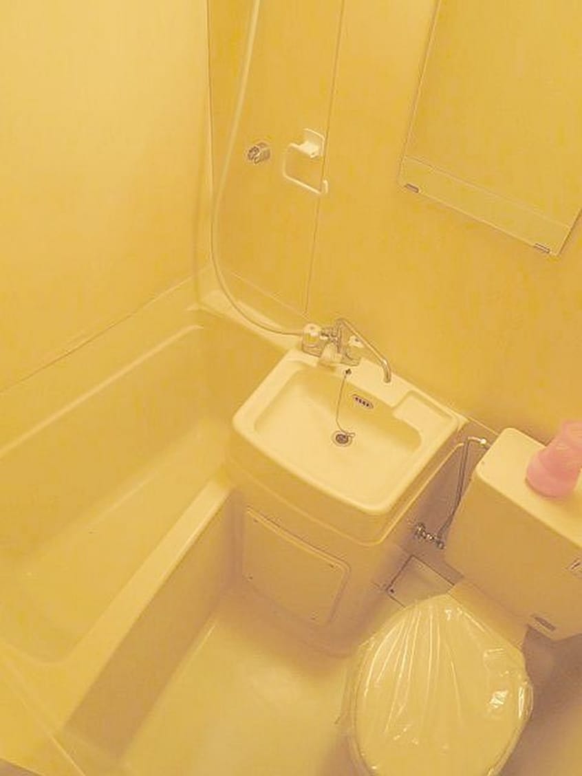 バス／シャワールーム等 テリ－ハウス