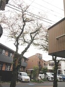 室内からの展望 さくらコ－ト