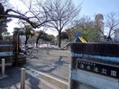 清水池公園(公園)まで254m パークサイドハウス