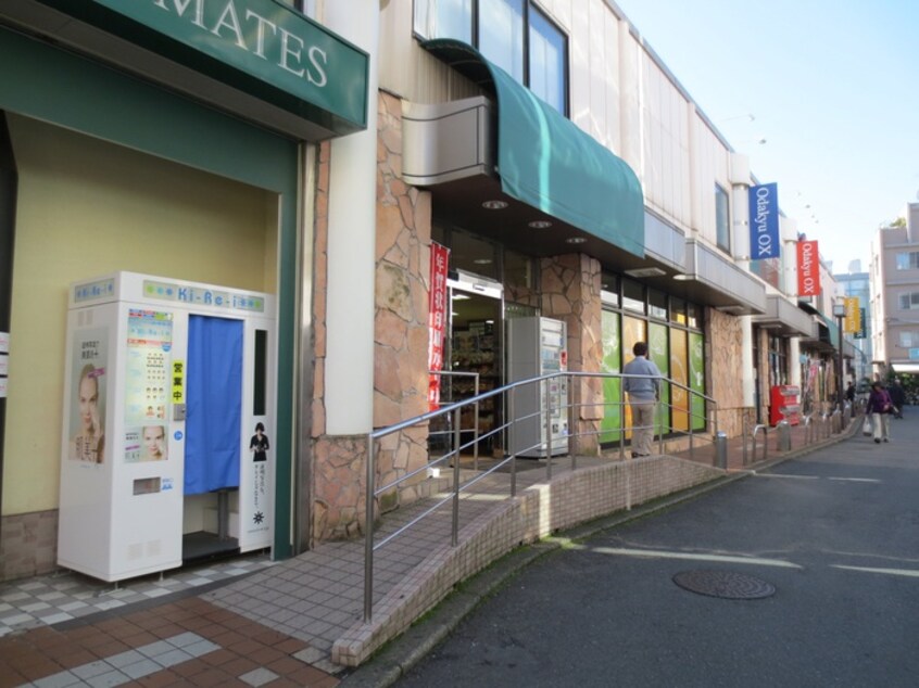 Odakyu OX 生田店(スーパー)まで650m グレイスみなとⅡ