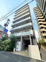 Olive un arbre TOKIWA