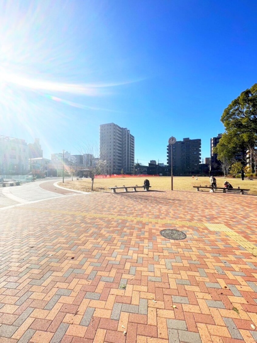 常盤公園(公園)まで390m オリーブ　アン　アルボ　トキワ