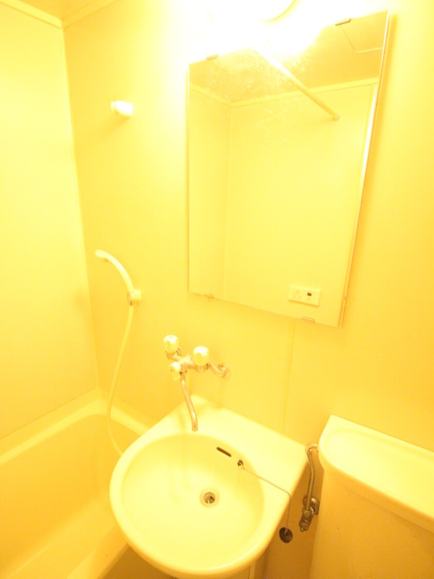 洗面 第一ソルステージ大岡山