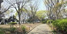 岡村公園(公園)まで546m シティハイムイソゴ