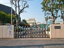 横浜市立藤の木中学校(中学校/中等教育学校)まで554m シティハイムイソゴ