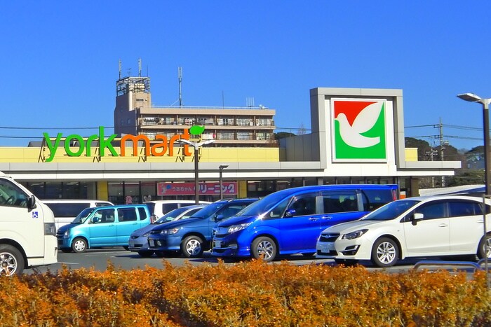 ヨークマート(スーパー)まで210m ルミナス都