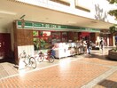 まいばすけっと綱島西2丁目店(スーパー)まで30m 中村ビル