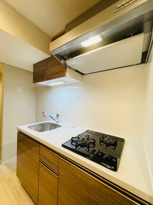 キッチン ロイジェント大山西町