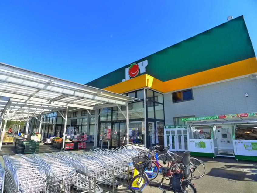 ジョイフーズ(スーパー)まで700m 粋明館