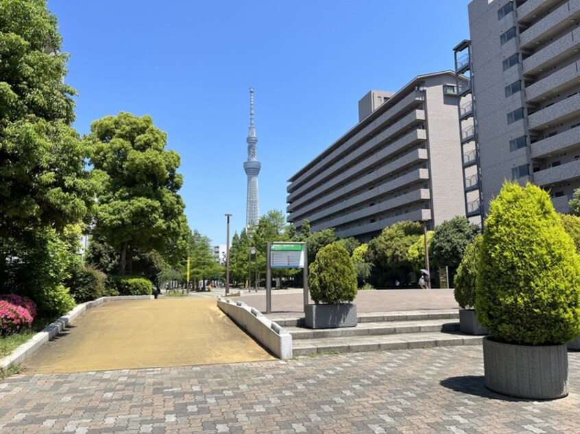 大横川親水公園(公園)まで142m スプレスター錦糸町