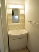 洗面 パルメゾン