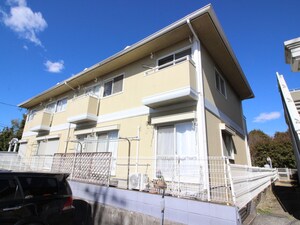 ホ－リ－ホックＮ