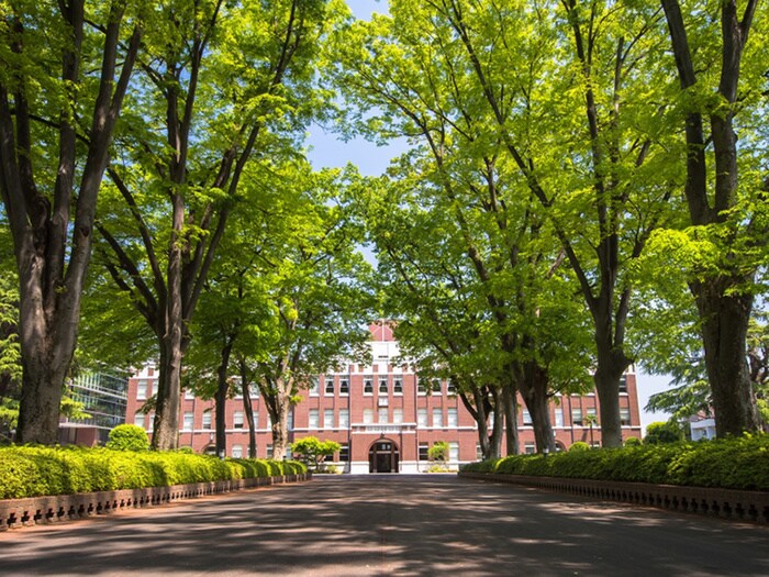 成蹊大学(大学/短大/専門学校)まで180m 光マンション