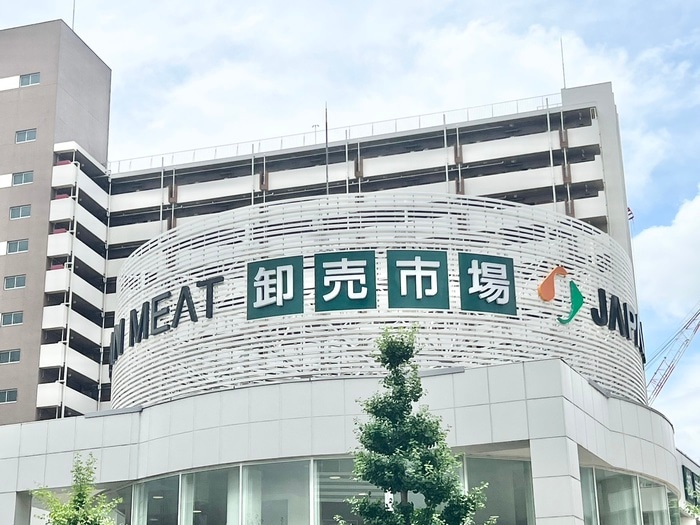 ジャパンミ－ト(スーパー)まで468m フォレ　ドゥ　ファミーユ