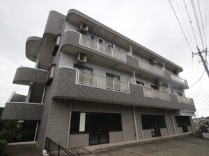 ロッキーハイツ