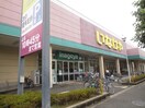 いなげや川崎京町店(スーパー)まで650m 沖田ハイツ