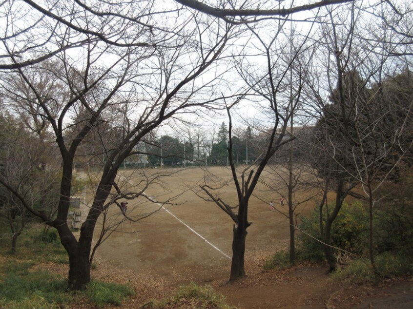 宮崎第一公園(公園)まで350m アルカサ－ル