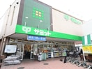 サミットストア久我山店(スーパー)まで600m ビュ－アイランド