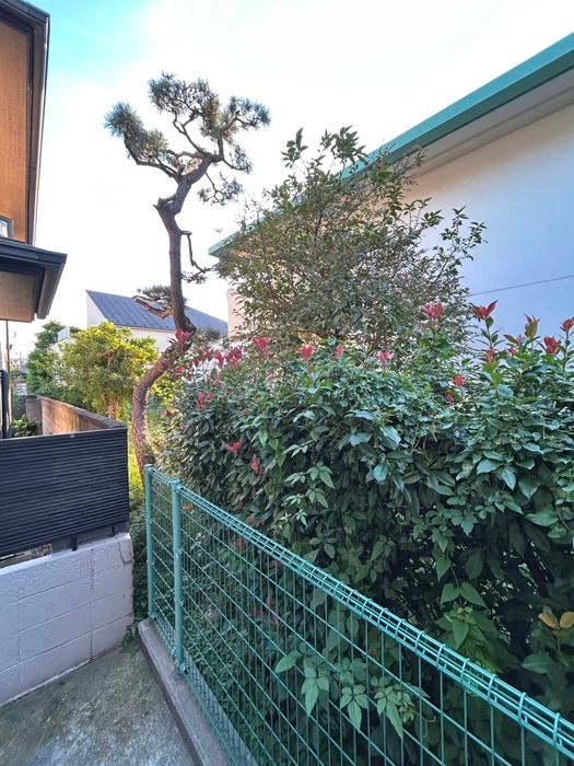 室内からの展望 コ－ポ寿