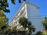 たまﾌﾟﾗｰｻﾞ団地4街区1号棟(203)