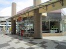 マクドナルド 堀之内三和店(ファストフード)まで336m メゾングランデ