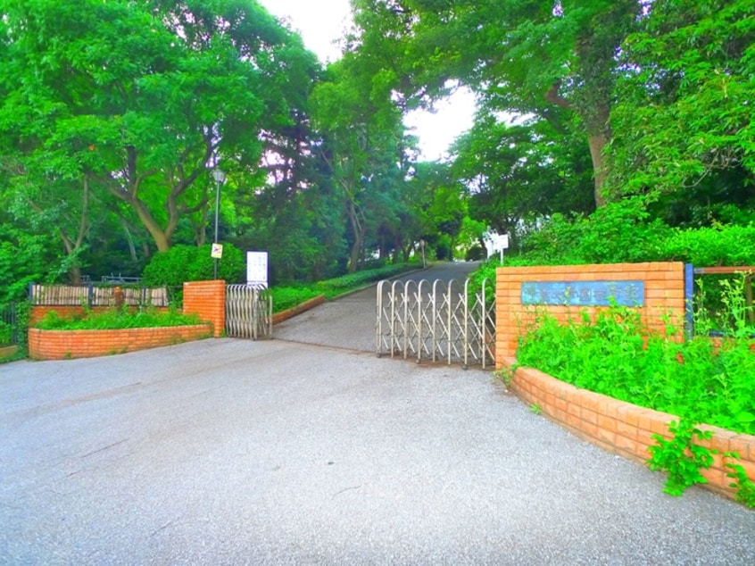 千葉大学松戸園芸学部(大学/短大/専門学校)まで1900m コ－ポ  カタクラ