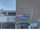 コーナン厚木下荻野店(電気量販店/ホームセンター)まで893m moutague　ciel